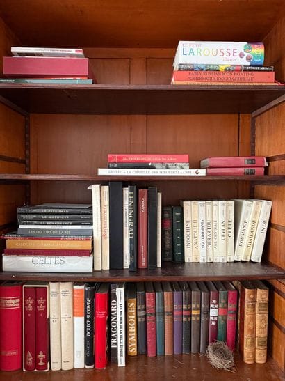 Lot de livres beaux Arts et Divers
En l'état

Vendu...