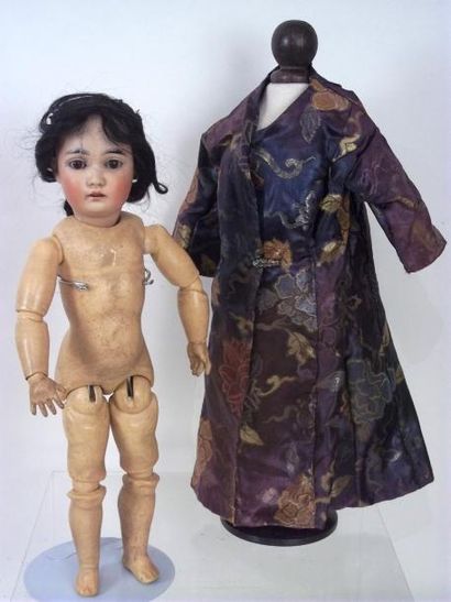 « Birmane » bébé de fabrication allemande...