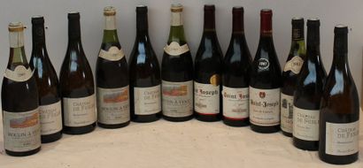 12 bout 3 SAINT JOSEPH 2007, 1 MORGON 1983,...