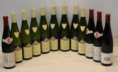 12 bout 1 ALSACE ROUGE D'OTTROT 3 PINOT NOIR...
