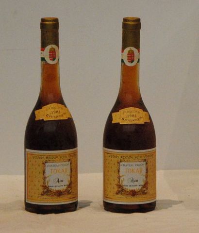 2 bout TOKAJ ASZY 6 PUTTONYOS 1981
