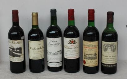 6 bout 1 CHT DE VIAUD LALANDE DE POMEROL...