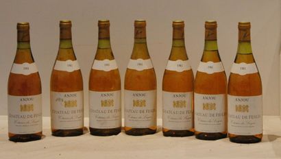 7 bout COTEAUX DU LAYON CHT DE FESLES 1981...