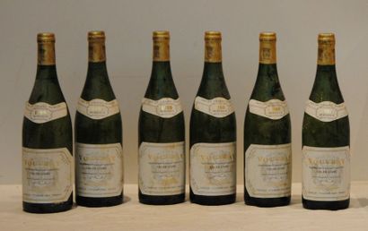 6 bout VOUVRAY MOELLEUX TRIE DE GRAINS NOBLES...