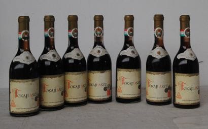 7 bout TOKAJI ASZU 5 PUTTONYOS 1976