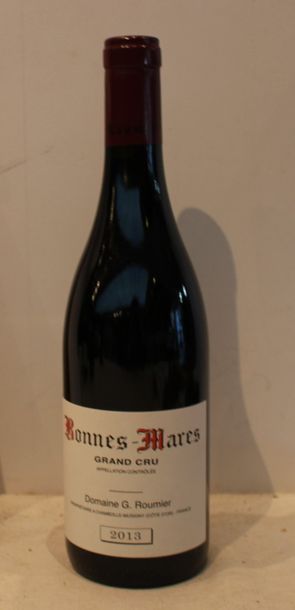 1 bout BONNES MARES ROUMIER 2013