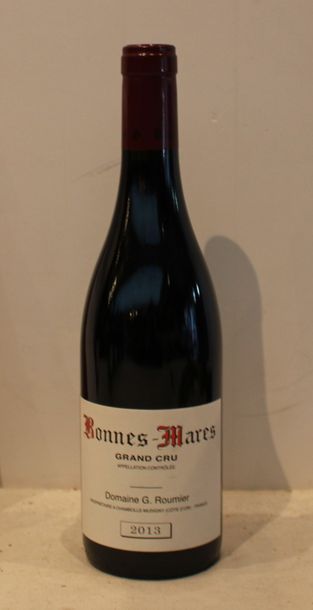 1 bout BONNES MARES ROUMIER 2013