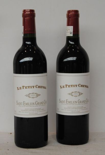 2 bout CHT PETIT CHEVAL 2002