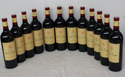 12 bout CHT PHELAN SEGUR ST ESTEPHE 2010