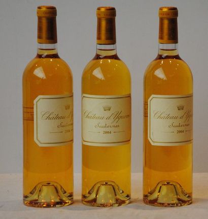 3 bout CHT D'YQUEM 2004