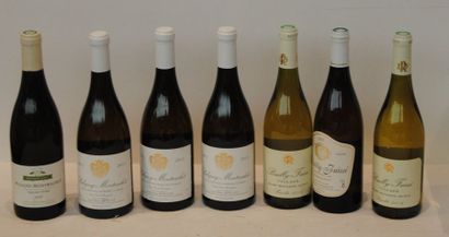 7 bout 3 POUILLY FUISSE MARC ROUGEOT DUPIN...