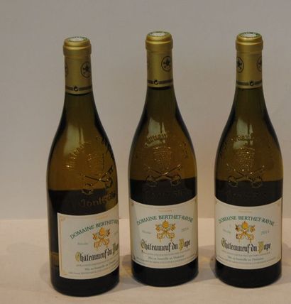 3 bout CDP BERTHET RAYNE 2014