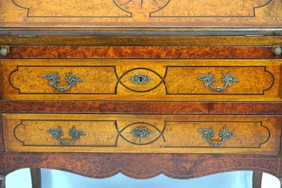 Cork. Cork marquetry 