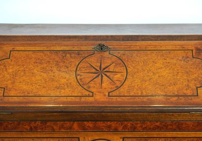Cork. Cork marquetry 