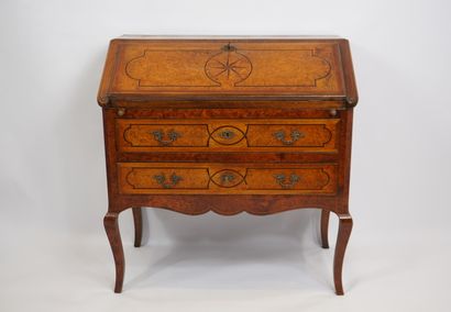 Cork. Cork marquetry 