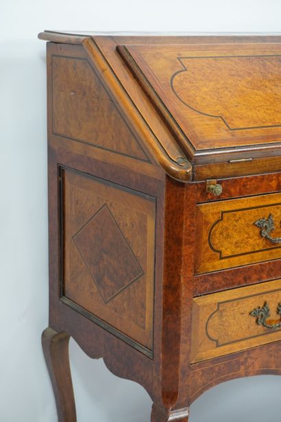 Cork. Cork marquetry 