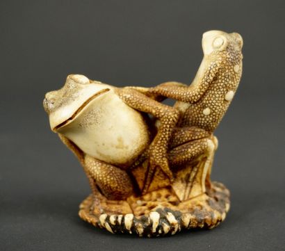 NETSUKE. Corne. Japon, 1900. 
Grenouilles...