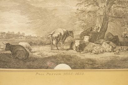 Paul Potter (1625-1654). Engraving. Cows...