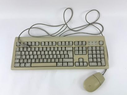 APPEL Computer. Mac computer by APPEL.
Macintosh...