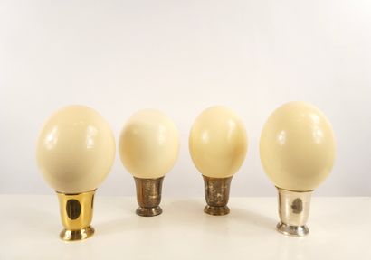 Series of four ostrich eggs presented on...