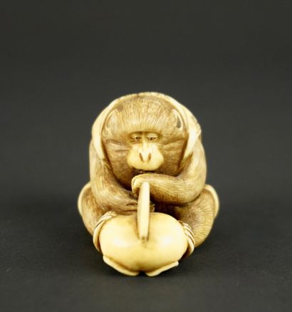 NETSUKE. Ivoire. Japon, 1900. 
Singe à la...