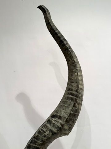 Sculpture soclée sur un pied en marbre. Forme...