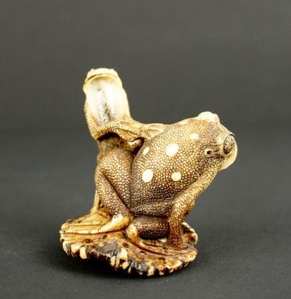 NETSUKE. Corne. Japon, 1900. 
Grenouilles...