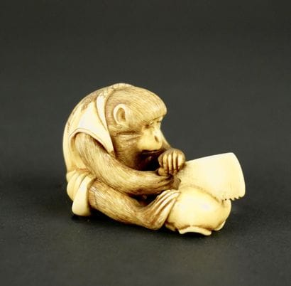 NETSUKE. Ivoire. Japon, 1900. 
Singe à la...