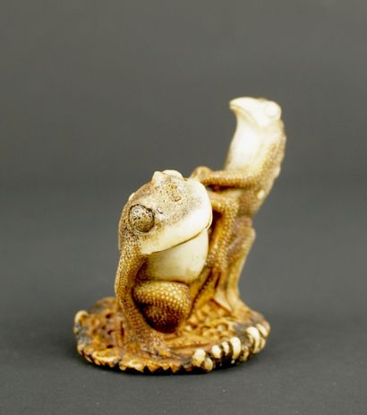 NETSUKE. Corne. Japon, 1900. 
Grenouilles...