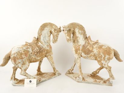 Chine. 2 grands chevaux en terre cuite.
Dimensions...