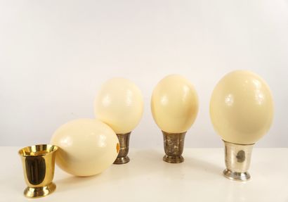 Series of four ostrich eggs presented on...