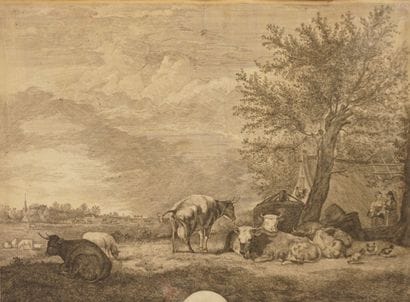 Paul Potter (1625-1654). Engraving. Cows...
