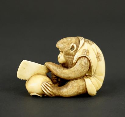 NETSUKE. Ivoire. Japon, 1900. 
Singe à la...