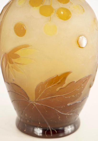 Emile Gallé (1846-1904). Vase à décors d'Ampélopsis....