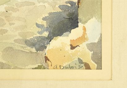 A. Dubois (XIX). Artist born in the 19th...