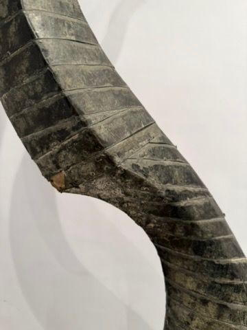 Sculpture soclée sur un pied en marbre. Forme...