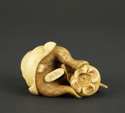 NETSUKE. Ivoire. Japon, 1900. 
Singe à la...