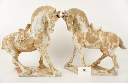 Chine. 2 grands chevaux en terre cuite.
Dimensions...