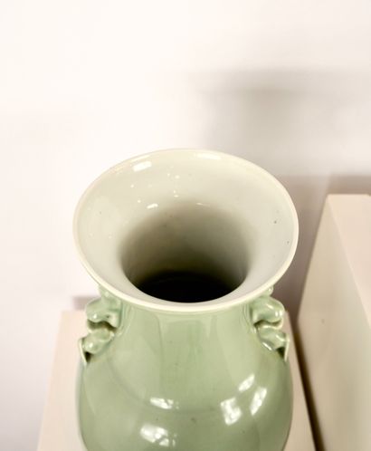 Chine. Paire de vases en porcelaine. Fin...