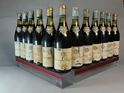 12 Bouteilles POMMARD 1er Cru RUGIENS 1976...