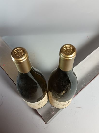 2 Bouteilles HERMITAGE Blanc J.L Grippat...