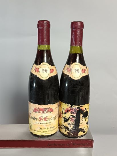 2 Bouteilles NUITS SAINT GEORGES Les Meurgers...