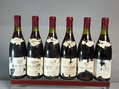 6 Bouteilles CORTON Grand Cru RENARDES 1978...