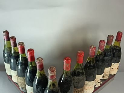 12 Bouteilles CORTON Grand Cru - Daniel SENARD
Étiquettes...