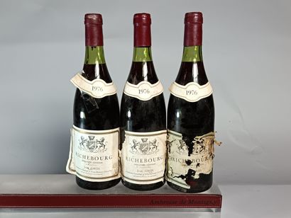 3 Bouteilles RICHEBOURG Grand cru 1976 -...