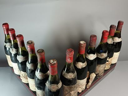 12 Bouteilles CORTON Grand Cru 1971 - Daniel...