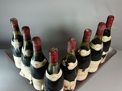 8 Bouteilles CORTON Grand Cru 1976 - Daniel...
