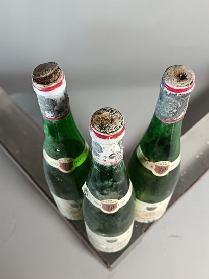 3 Bouteilles GEWURZTRAMINER Les SORCIERES...