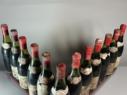 12 Bouteilles CORTON Grand Cru BRESSANDES...