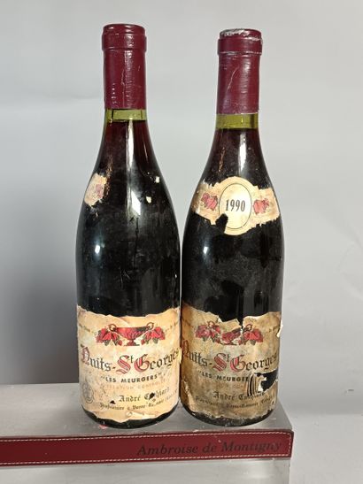 2 Bouteilles NUITS SAINT GEORGES Les Meurgers...